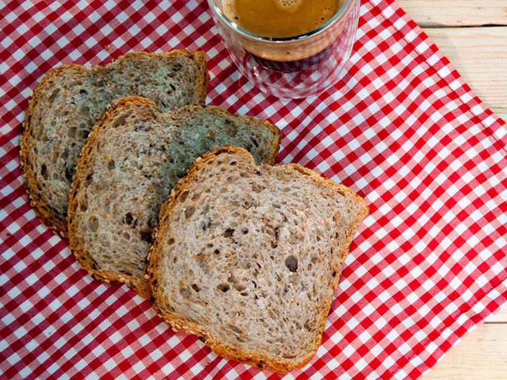 Alimentación para llevar una dieta equilibrada: Pan de proteínas, pan de centeno y pan integral